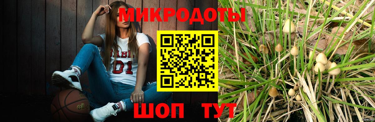 Костомукша  Псилоцибиновые грибы ЛСД  Вход с VPN 