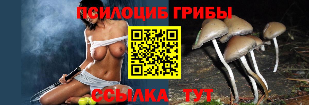 Псилоцибиновые грибы ЛСД Костомукша